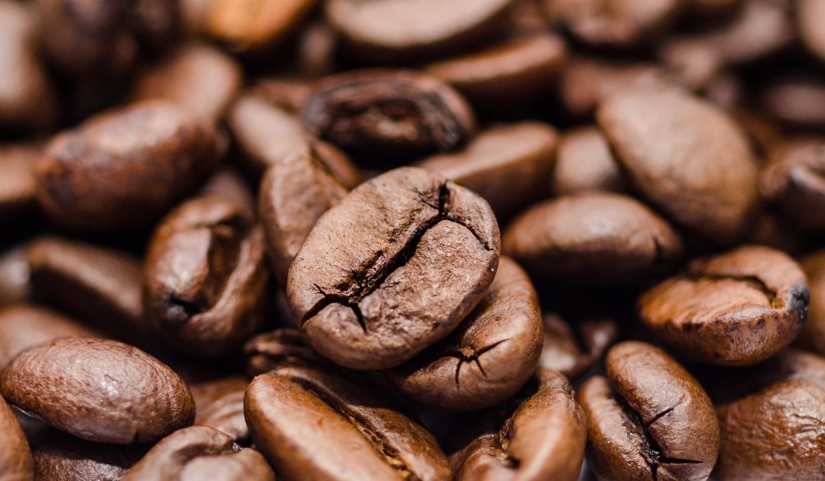 How To Start A Coffee Shop?