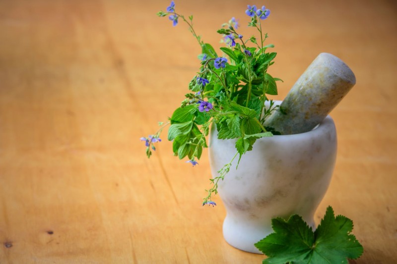 Write Us Health: Closing the Gaps Between Technology and Wellness