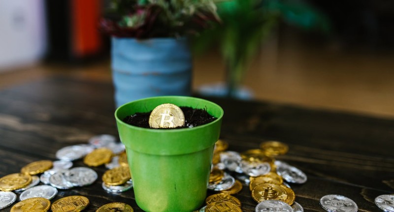 Your Guide to Investing in Cryptocurrency: Choosing the Right Platforms